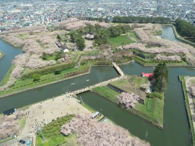 2025 GW　JALで函館、2泊3日の旅［2/2］五稜郭と桜とGLAYマンホール