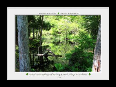 ◆福島・四季・彩々・Part124~晩春の候