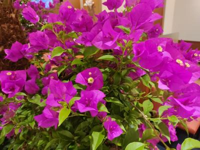 宮崎への旅1日目