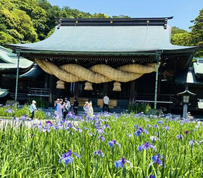 菖蒲まつり　「日本一の大しめ縄｣と｢光の道｣の宮地嶽神社　そして締めは｢資さんうどん｣