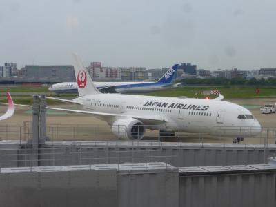 福岡空港へ移動＆JALサクララウンジから飛行機ウォッチングなど編【用なし東京１泊旅】