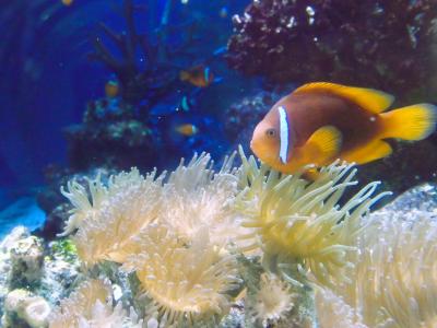 ○o。.不完全燃焼の沖縄ひとり旅・中編（ラ・ジェント・ホテル沖縄那覇）2025初夏.。o○