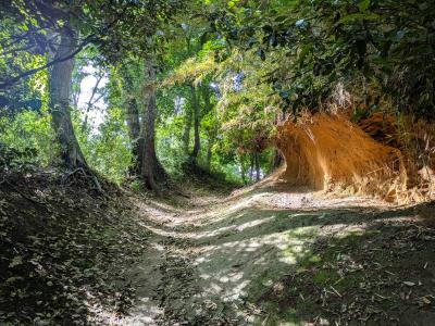 多摩ハイキング