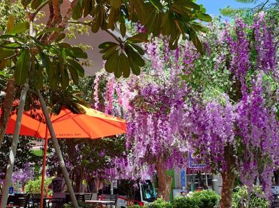 痛恨の大失敗!安物買いの銭失い ( *_* )4