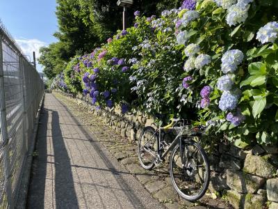 2025年6月5日　早朝サイクリング　北区・文京区