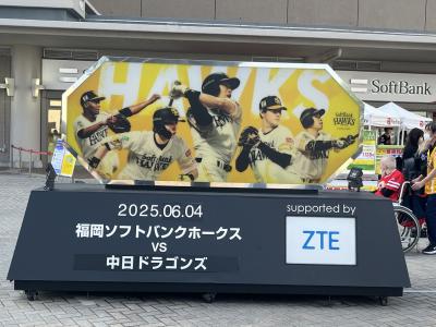 プロ野球交流戦　シニアひとり旅　2025年6月