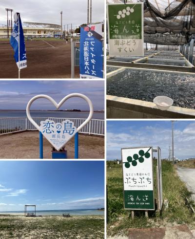 冬でも暖かい(ハズの)沖縄へ Ver.2025(その5)日本ハムキャンプから海ぶどうすくい 編