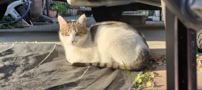 ２０２５年１月三重旅その１