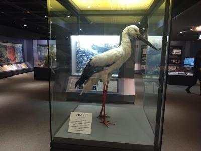 旅行体験記2025~三田~約3年ぶりの訪問。兵庫の新たな魅力再発見旅!