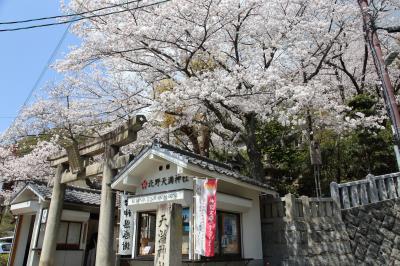 2025年 神戸・姫路・龍野（＋夙川）桜見物 １日目（その２）