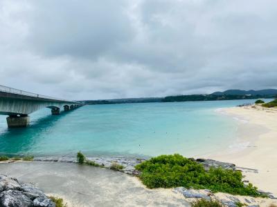 沖縄家族旅行;瀬底島からその④ やんばる急行バス四島線の旅 空港行シャトルバスで帰路につく