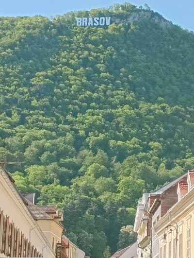 移動日 ティミショアラからブラショフへ