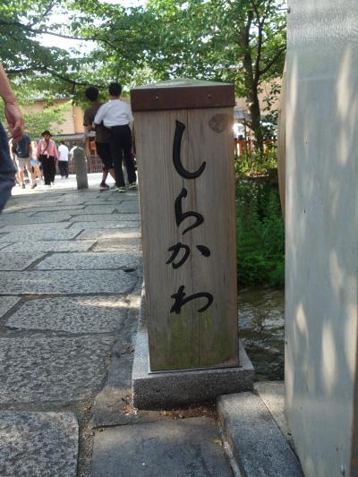 祇園白川をそぞろ歩き。まだ明るくて、風情に欠ける。