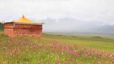 day6(8/2金)【町の家と草原の家】セルゾンゴンパがメインとなるはずが…？タクシー運ちゃんの自宅と実家に滞在！　興海