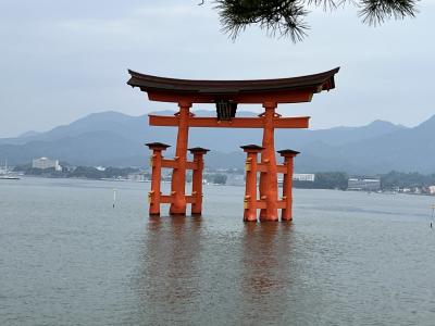 久しぶりの一人旅　宮島