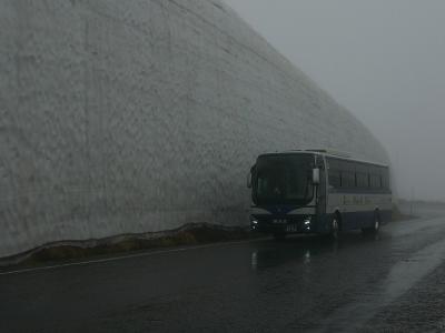 ホタルイカ・白エビを求め　ひとっ飛び曇天の富山へ