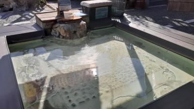 霧島国際ホテル　霧島神宮