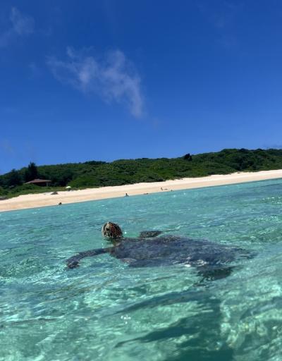 初めての波照間島へアラカン女一人旅③