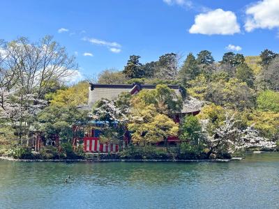 春の三鷹　井の頭恩賜公園　弁財天