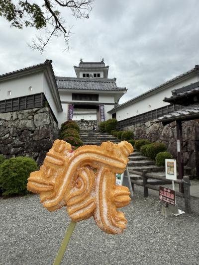 2025年　釜が滝で流しそうめん♪郡上八幡城から飛騨高山へ ◆RESERVE飛騨高山 In 東急ステイ飛騨高山 結の湯◆