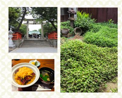 夫の故郷訪問と福岡の旅をくっつける＾＾　佐賀唐津から柳川、大牟田、大宰府＆博多♪　前編