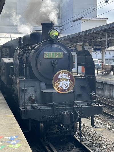 のんびり鬼怒川SL大樹と伊東園ホテルズ初体験