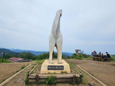 陣馬山に登ってきました！
