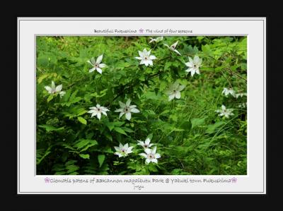 ◆福島・四季・彩々・Part125~惜春の候