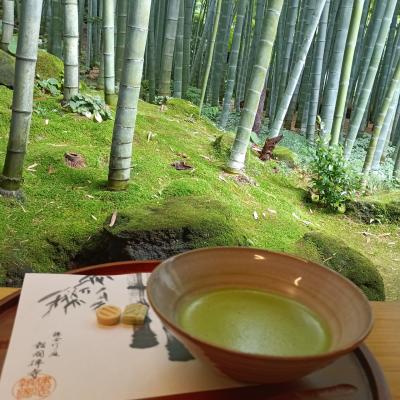 報国寺　竹寺　（鎌倉3)