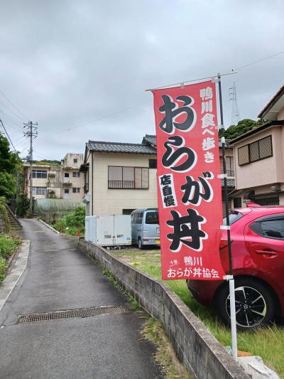 おらが丼となめろうを食べ房総一周しました。