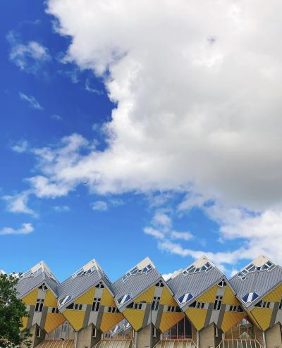 ひさしぶりのヨーロッパ!花のオランダ旅行⑤