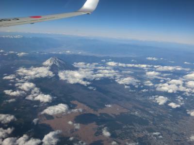 念願の海外。フランス、ドイツ黒い森地方を訪ねるクリスマスマーケット。前泊編①