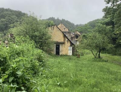 アフタヌーンティーと紫陽花