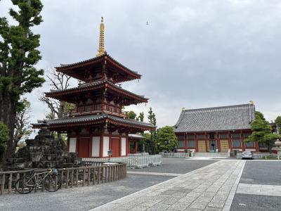 2025年4月28日　早朝・昼サイクリング　杉並区・中野区・新宿区・渋谷区