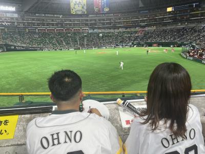 プロ野球交流戦　シニアひとり旅　⓶  2025年6月