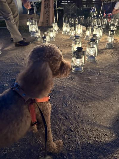 2025年6月　大人の遠足#49　浜名湖で犬サービス