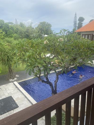 何もしないをする女1人旅バリ島:day4ウブドからスミニャックに移動