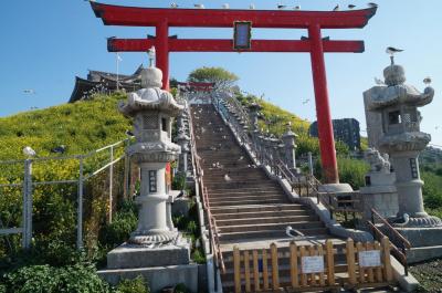 2025年 北東北旅行記６：ウミネコに占拠された神社、蕪島神社・三陸道南下・松島＆仙台・そして帰宅