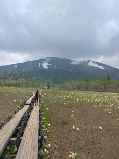 初夏の花旅2 尾瀬