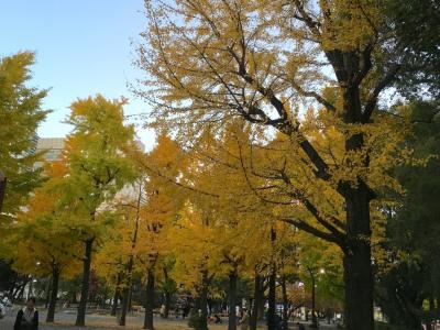 芝公園・時をかける謎解き再び