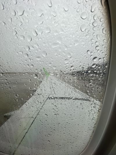 またまた当ったので！　その３