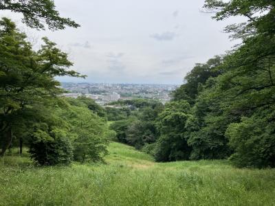 多摩ハイク:長沼公園・平山城址公園