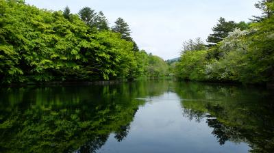2025.5 新緑の軽井沢旅行② 中軽井沢～南軽井沢