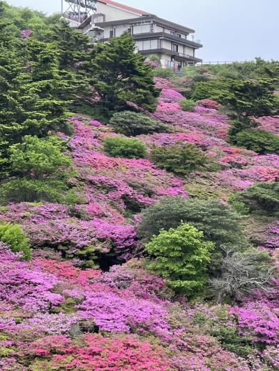 2025/05    長崎　3泊4日　雲仙 ミヤマキリシマ 温泉