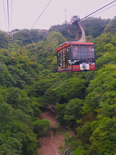 静岡17　日本平ロープウエイ　久能山東照宮は山麓　☆日本平/頂上は霧の中　終バス-17:30
