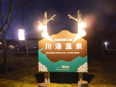 縁切り湯めぐり川湯温泉。冬季休業が1館あった。