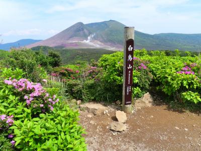 初夏の鹿児島旅行・えびの高原を散策