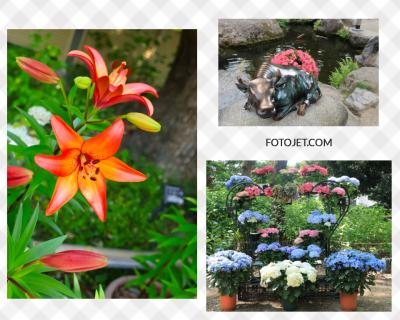 夫の故郷訪問と福岡の旅をくっつける＾＾　佐賀唐津から柳川、大牟田、大宰府＆博多♪　後編