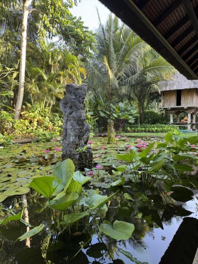 2025GW ウブド・サヌールのんびりアラ還夫婦旅【サヌール・シンガポール・帰国編】③4～6日目