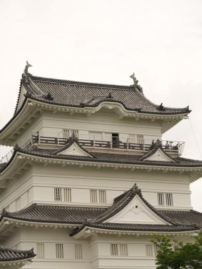 【旅行記】2025年6月伊東温泉~小田原城でアジサイをめでる~